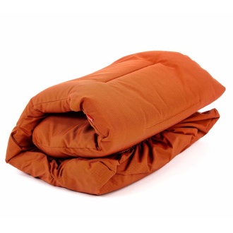 Coussin en Oléfine pour...